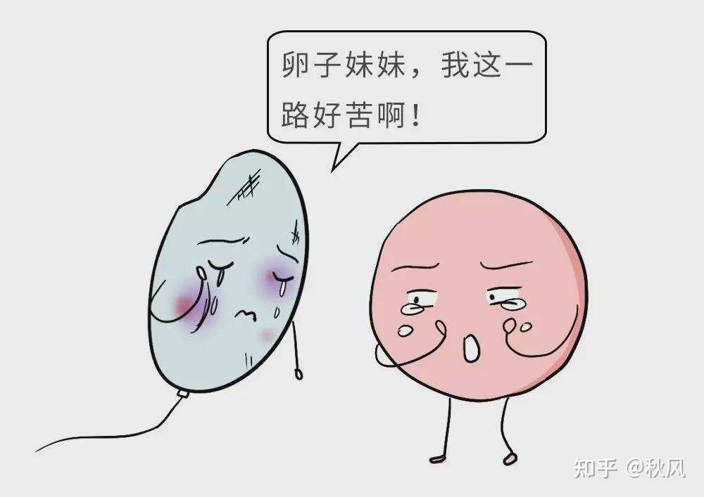 广州供卵试管代怀生子医院排名，附供卵生男孩费用一览！_僵人综合征